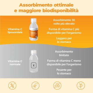 Bandini® Vitamina C Liposomiale liquida 250ml -Difese Immunitarie