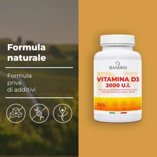 Vitamina D3 365 softgels in Olio d'Oliva - Rinforza i tuoi muscoli