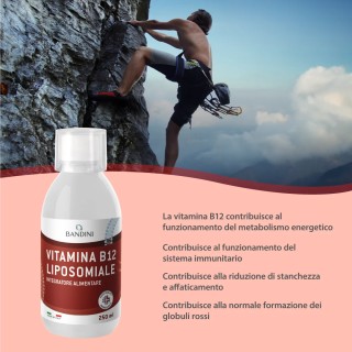 Bandini® - Vitamina B12 Liposomiale Liquida - Difese Immunitarie