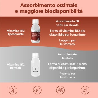 Bandini® - Vitamina B12 Liposomiale Liquida - Difese Immunitarie