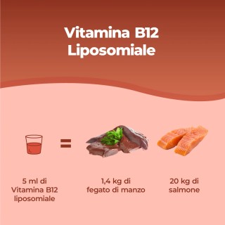 Bandini® - Vitamina B12 Liposomiale Liquida - Difese Immunitarie