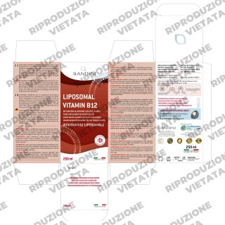 Bandini® - Vitamina B12 Liposomiale Liquida - Difese Immunitarie