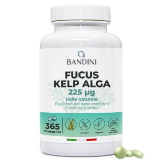 Fucus Kelp Algae - Stimolante per perdita di peso ed anticellulite