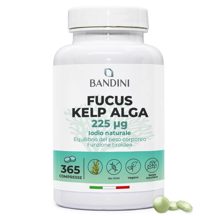 Fucus Kelp Algae - Stimolante per perdita di peso ed anticellulite