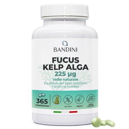 Fucus Kelp Algae - Stimolante per perdita di peso ed anticellulite