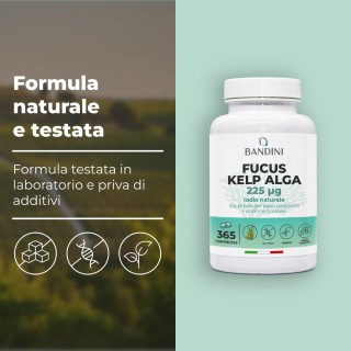 Fucus Kelp Algae - Stimolante per perdita di peso ed anticellulite