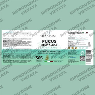 Fucus Kelp Algae - Stimolante per perdita di peso ed anticellulite