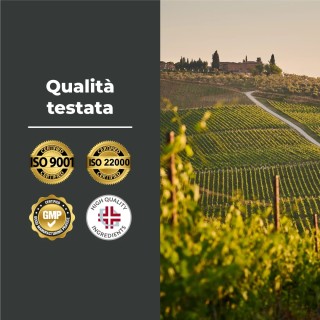 Fucus Kelp Algae - Stimolante per perdita di peso ed anticellulite