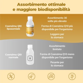 Bandini® - Coenzima Q10 Liposomiale Liquido - Antiossidante