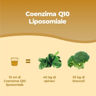 Bandini® - Coenzima Q10 Liposomiale Liquido - Antiossidante