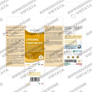 Bandini® - Coenzima Q10 Liposomiale Liquido - Antiossidante