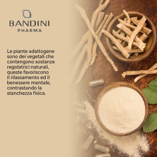 Ashwagandha 60 capsule rimedio anti-stress (ginseng indiano)