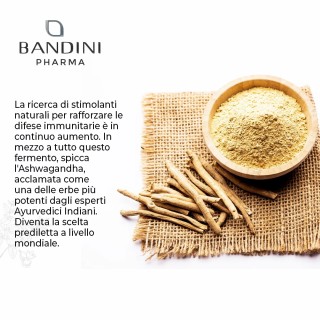 Ashwagandha 60 capsule rimedio anti-stress (ginseng indiano)