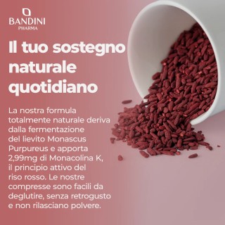 Riso Rosso con Monacolina K 90 compresse