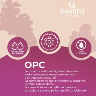 OPC 200 capsule uva europea - Antiossidante & antinfiammatorio