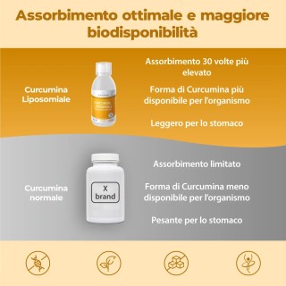 Curcumina liposomiale liquida da 250ml
