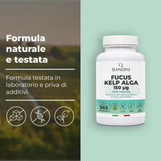 Fucus Kelp Algae 150mcg in compresse fonte di Iodio