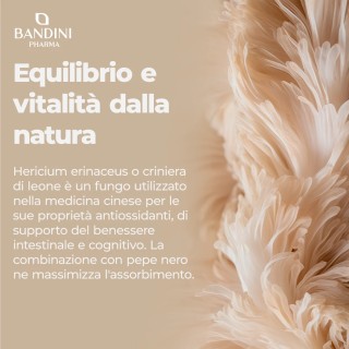 Lions Mane 365 compresse - Benessere intestinale e cognitivo