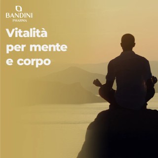 Shilajit puro Himalaya in capsule con Vitamina B6