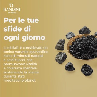 Shilajit puro Himalaya in capsule con Vitamina B6