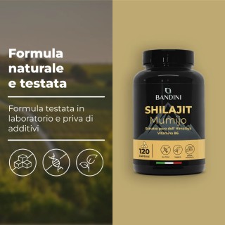 Shilajit puro Himalaya in capsule con Vitamina B6