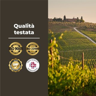 Shilajit puro Himalaya in capsule con Vitamina B6