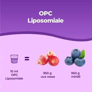 Bandini® OPC liposomiale - Estratto di semi d'uva antiossidante