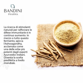 Ashwagandha compresse - Ginseng indiano contro la stanchezza