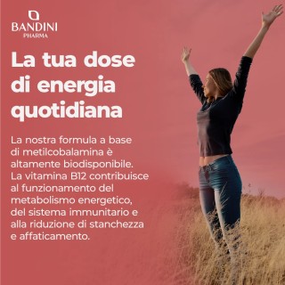 Vitamina B12 metilcobalamina - 450 compresse