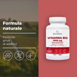 Vitamina B12 metilcobalamina - 450 compresse