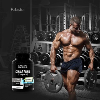 Creatina Creapure© 240 compresse per la nutrizione sportiva