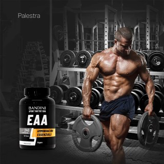 EAA 240 compresse per la massa muscolare