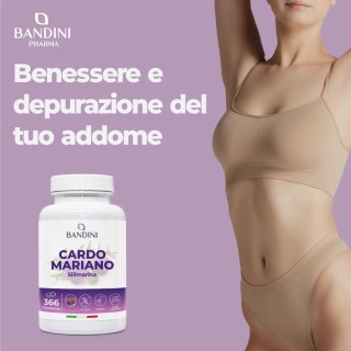Cardo Mariano compresse per il fegato e la digestione