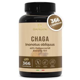 Chaga Fungo Inonotus Obliquus 366 compresse - Micoterapia