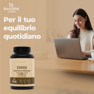 Chaga Fungo Inonotus Obliquus 366 compresse - Micoterapia