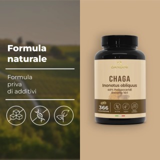 Chaga Fungo Inonotus Obliquus 366 compresse - Micoterapia