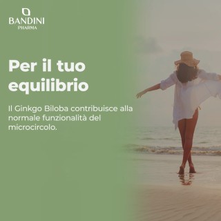 Ginkgo Biloba Ginseng siberiano - 365 compresse