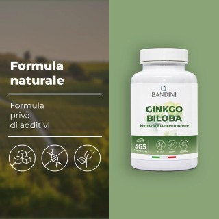 Ginkgo Biloba Ginseng siberiano - 365 compresse