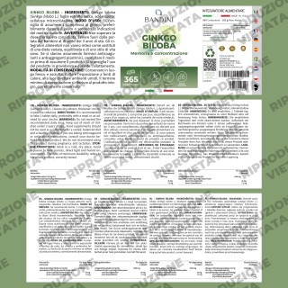 Ginkgo Biloba Ginseng siberiano - 365 compresse