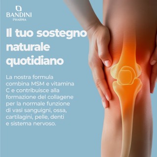 Glucosamina condroitina compresse per le Articolazioni