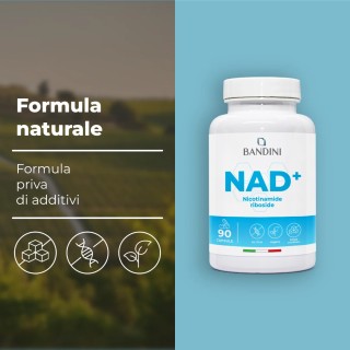 NAD+ Nicotinamide riboside cloruro 300mg - 90 capsule