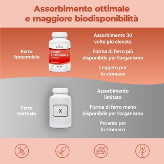 Bandini® - Ferro Liposomiale 60 capsule con Vitamine