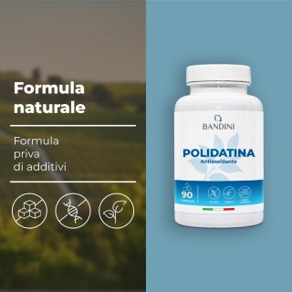 Polidatina 90 capsule | Antiossidante da Polygonum cuspidatum