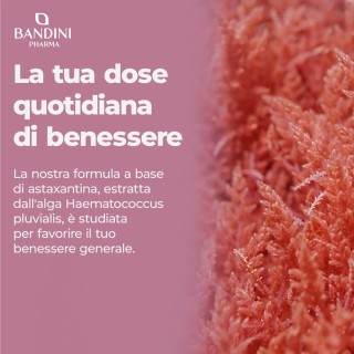 Astaxantina 8mg 270 capsule | Oleoresina antiossidante