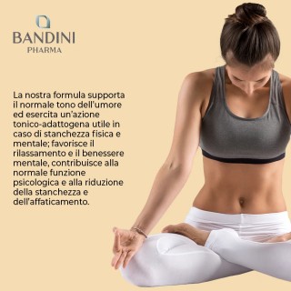 Ashwagandha Complex capsule KSM-66 con Rhodiola, Zinco, B6