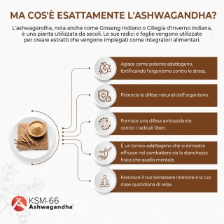 Ashwagandha Complex capsule KSM-66 con Rhodiola, Zinco, B6