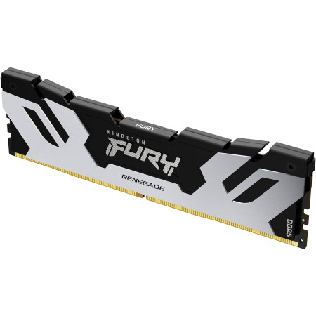 Kingston Fury Renegade DDR5 Argento/Nero 5
